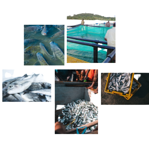 Aquamet Technologies